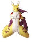  2010 after_sex anthro breasts canine chest_tuft cum cum_in_pussy cum_inside digimon female fox fur impmon male mammal nipples nude one_eye_closed plain_background pussy renamon seth-iova sex spread_legs spreading straight tuft white_background 