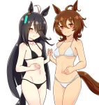  2girls agnes_tachyon_(umamusume) ahoge animal_ears bikini black_bikini black_choker black_hair blush breasts bright_pupils brown_hair choker closed_mouth empty_eyes grey_hair hair_between_eyes holding_hands horse_ears horse_girl horse_tail long_hair looking_at_viewer manhattan_cafe_(umamusume) medium_hair multicolored_hair multiple_girls navel nose_blush pale_skin parted_lips petite red_eyes side-by-side simple_background small_breasts smile special_cat stomach swimsuit tail three_quarter_view two-tone_hair umamusume very_long_hair white_bikini white_pupils yellow_eyes 