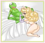  coconut kermit_the_frog miss_piggy muppets tagme 
