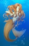  5_fingers breasts brown_hair female fin hair jay-kuro marine merfolk navel scales solo underwater water white_skin 