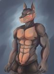  2017 anthro blush bulge canine clothed clothing doberman dog fur looking_at_viewer male mammal nude repeat_(visual_novel) samuel_(repeat) shirokoi simple_background smile solo underwear 