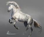  animal_genitalia aomori equine feral hair hooves horse male mammal on_hind_legs sheath simple_background solo standing 
