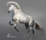  animal_genitalia aomori equine feral hair hooves horse male mammal sheath simple_background solo standing watermark 