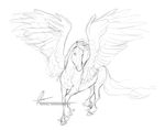  ambiguous_gender aomori equine feathered_wings feathers feral hair hooves mammal monochrome pegasus sketch solo standing wings 