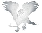  ambiguous_gender aomori equine feathered_wings feathers feral hair hooves mammal monochrome pegasus solo standing wings 