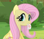  2017 blue_eyes blush cutie_mark english_text equine feathered_wings feathers female feral fluttershy_(mlp) friendship_is_magic hair hi_res looking_at_viewer mammal my_little_pony outside pegasus pink_hair shutterflyeqd smile solo text wings yellow_feathers 