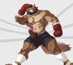  2016 abs anthro armpit_hair armpits biceps blush boxers_(clothing) boxing_gloves brown_fur canine clenched_teeth clothed clothing erection eyes_closed fighting_ring fur hand_on_face male mammal muscular muscular_male nipples pecs penis precum pubes raised_arm ring rollingstoneeeeee sharp_teeth simple_background solo sport standing teeth topless underwear vein veiny_penis white_background wolf 