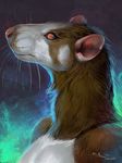  2017 amber_eyes anthro baphometall brown_fur digital_media_(artwork) fur mammal pink_nose rat rodent simple_background solo whiskers white_fur 