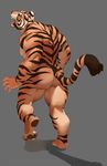  2016 anthro back_muscles barefoot biceps black_fur butt claws fangs feline fur grey_background looking_up male mammal muscular muscular_male nude open_mouth orange_fur pecs rollingstoneeeeee shadow simple_background solo standing stripes tiger toes white_fur 