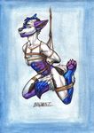  anthro bdsm black_fur blue_fur canine evenesko_dzoronte fur hanging_(disambiguation) male mammal purple_fur restrained rope solo spidythewolfy white_fur wolf 