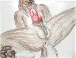  2016 animal_genitalia animal_penis anthro anus armpits ball_tuft balls black_nose brown_fur butt canine canine_penis chest_tuft claws colored_pencil erection fur grin hairy happy hi_res hindpaw knot lying male mammal nude on_back open_mouth pawpads paws penis perineum pinup pose presenting presenting_hindquarters pubes red_penis sharp_claws sharp_teeth simple_background smile solo spread_legs spreading tawnyfluff teeth traditional_media_(artwork) tuft were werewolf white_background wolf 