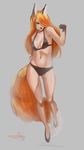  animal_humanoid bra canine clothing estranoh female fox fox_humanoid fur hair hair_over_eye humanoid mammal navel simple_background solo underwear 