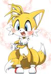  anthro balls canine cub doneru erection fox male mammal miles_prower penis solo sonic_(series) young 