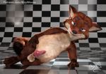  3d_(artwork) bizymouse canine digital_media_(artwork) disney fox gideon_grey mammal penis zootopia 