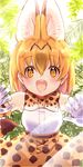 :d animal_ears belt blush bow bowtie breast_pocket elbow_gloves extra_ears gloves high-waist_skirt highres kemono_friends lace looking_at_viewer mugi_(iccomae) multicolored_hair open_mouth orange_bow orange_eyes orange_hair orange_skirt phone_screen plant pocket round_teeth serval_(kemono_friends) serval_ears serval_print serval_tail shirt short_hair skirt sleeveless sleeveless_shirt smile solo spots streaked_hair tail teeth white_shirt 