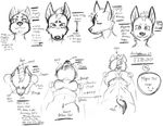  2017 art_tips artist_name bangs breasts eyebrows hair harpseal hyena information mammal model model_sheet models multi_head name nude numbers pointy_ears referenza shapes sketch spiky_hair standing stick_figure text 