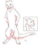  2017 anthro aogami balls erection grind imminent_sex jewelry male mammal monochrome mustelid necklace nude otter penis penis_tip signature simple_background smile standing tagme white_background 