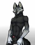  animal_genitalia balls black_fur canine clothing elsilentfox fox fur green_eyes grey_fox grey_fur knot_bulge looking_away_from_viewer male mammal nude pinup pose sheath simple_background solo tsaiwolf twink underwear 