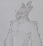  anthro avian bird bottomless breath_of_the_wild clothed clothing kass_(zelda) male nintendo sillywerwolf solo the_legend_of_zelda traditional_media_(artwork) video_games 