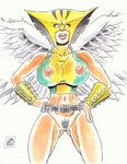  dc hawkgirl rob_durham tagme 