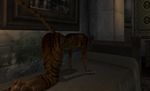  khajiit oblivion tagme the_elder_scrolls 