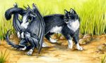  ambiguous_gender black_eyes cat dragon duo feline feral grass heather_bruton mammal wings yellow_eyes 