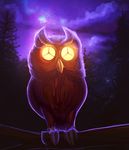  ambiguous_gender avian bird detailed_background feral night outside owl rublegun solo 