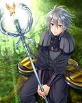  bird deere_(fire_emblem_if) fire_emblem fire_emblem_if green_eyes grey_hair hanasaki_komugi male_focus nature sitting solo staff 