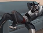  anthro canine clothed clothing fur hair jailbird looking_at_viewer lying male mammal on_back pillow smile solo 
