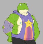 amphibian anthro clothing flat_colors frog hands_on_hips hoodie male moobs musclegut nintendo nipples overweight overweight_male scar shirt slippy_toad solo standing star_fox tank_top video_games wkd 