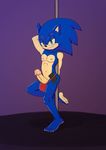  anthro digital_media_(artwork) erection humanoid_penis male mammal nipples penis phallusfantasy sonic_(series) sonic_the_hedgehog 