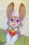  2017 absurd_res anthro clothed clothing crombie disney female fur hi_res judy_hopps lagomorph mammal open_mouth purple_eyes rabbit sitting solo zootopia 