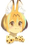  artist_request blonde_hair brown_eyes furry kemono_friends serval short_hair smile 