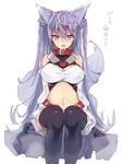  :d animal_ears black_legwear blue_hair breasts commentary_request detached_sleeves fox_ears fox_tail kasuka_(kusuki) large_breasts lavender_eyes long_hair long_sleeves looking_at_viewer nanacy_calvados navel open_mouth original sitting smile solo stomach tail thighhighs translation_request two_side_up very_long_hair wolf_ears wolf_tail 