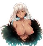  bad_id bad_pixiv_id banned_artist blush breasts dark_skin fur_trim highres large_breasts looking_at_viewer nipples original parted_lips short_hair simple_background sketch solo tsukiriran white_background white_hair yellow_eyes 