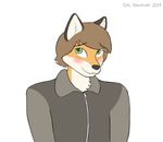  2017 anthro blush brown_hair canine clothed clothing corporalbackrubs digital_media_(artwork) fox fur green_eyes hair half-length_portrait hi_res jacket looking_at_viewer male mammal orange_fur portrait short_hair simple_background smile solo white_background white_fur 