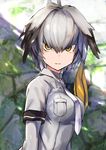  amamitsu_kousuke blurry blurry_background bodystocking breasts grey_shirt head_wings highres kemono_friends long_hair looking_at_viewer low_ponytail medium_breasts multicolored_hair necktie shirt shoebill_(kemono_friends) short_sleeves side_ponytail solo yellow_eyes 