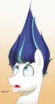  acstlu blue_eyes blue_hair equine friendship_is_magic fur hair horse long_hair mammal my_little_pony shining_armor_(mlp) what white_fur 