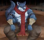  anthro bergamo canine clothing dragon_ball dragon_ball_super erection male mammal muscular naruever wolf 
