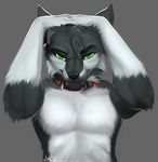  angiewolf anthro black_fur canine collar ear_piercing fangs fur green_eyes holding_(disambiguation) invalid_color invalid_tag male male/male mammal pawpads piercing red_collar smile teddytime white_fur wolf wulfie 