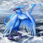  articuno artist_request bird ice no_humans pokemon pokemon_(creature) red_eyes snow solo 