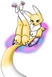  digimon renamon silnat tagme 