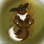  bbuizel eevee pokemon tagme 