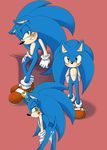  blush cum erection green_eyes hedgehog male mammal penis plain_background red_background sega solo sonic_(series) sonic_team sonic_the_hedgehog wiiddevil 