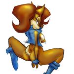  mel_the_hybrid sally_acorn sonic_team tagme 