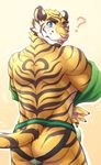  feline h155296 looking_back male mammal tiger 