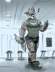  anthro biceps clothed clothing dark_tatsuka male mammal muscular shirt tank_top 