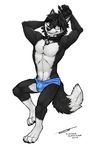  bulge canine clothed clothing collar eyewear glasses john_garo male mammal pinup pose speedo swimsuit topless tsaiwolf 