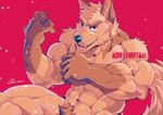  abs anthro biceps canine canyne_khai male mammal muscular wolf 