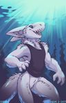  2017 absurd_res anthro blue_eyes bottomless clothed clothing cute english_text featureless_crotch fish fluffy fur grey_fur hi_res male marine shark sharp_teeth shirt shiuk signature smile solo teeth text tongue tuft underwater water 